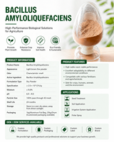 Bacillus Amyloliquefaciens Poudre Brune 100 Milliards UFC/g Engrais Biologique Soluble dans l'Eau pour la Santé du Sol et l'Agriculture Biologique 2