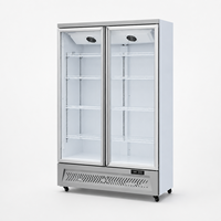 Réfrigérateur vertical pour boissons à double porte vitrée à fermeture automatique, refroidissement par air, avec éclairage LED blanc froid