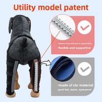Attelle de soutien pour la marche à deux pattes arrière pour chiens seniors - Immobilisation post-opératoire, ambulation assistée, design tendance, facile à porter