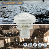 Aglare Led Lighting Venta al por mayor AC24V Funfair Rides Amusement LED Point Lights