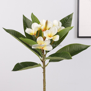 LF021 Branches de fleurs artificielles de haute qualité à 9 feuilles, Plumeria Rubra Frangipani en soie, pour la décoration de table, bureau, maison, hôtel, vase - Product Image 5