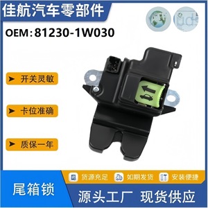 Mécanisme de verrouillage du coffre Hyundai Elantra 81230-1W030, pièce de rechange pour hayon électrique, plastique noir - Product Image 5