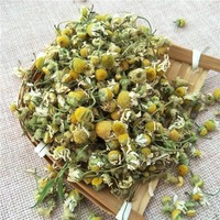 Teh Bunga Chamomile Alami Berkualitas Tinggi, Teh Pelangsing, Tersedia dalam Kemasan Kantong, Kotak, Cangkir, Botol, Harga Terbaik