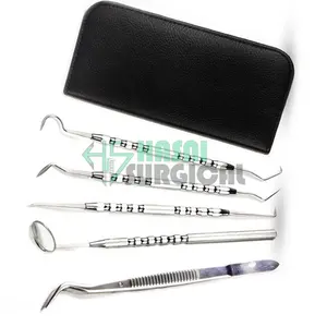 Stainless steel dentist tools hygiene cleaning tooth dental pick kit