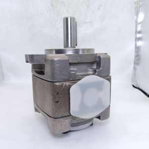 Bomba de Aceite de Engranajes Internos de Desplazamiento Fijo Serie PGH PGH5 PGH4 PGH2 PGH3 PGH3-22 PGH3-22/016RE07VU2 - Product Image 2