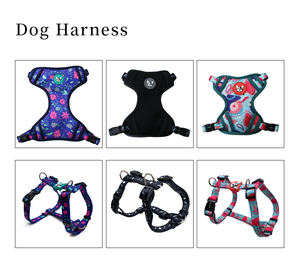 Tali Kekang Jalan Luar Ruangan, Set Tali Kekang dan Kekang Anjing untuk Anak Anjing - Product Image 5