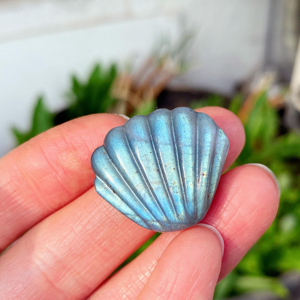 Adorno de Cristal de Labradorita Natural Tallado a Mano en Forma de Concha Mini, Piedra Preciosa de Reiki para Sanación, Venta al por Mayor - Product Image 1