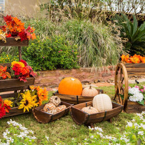 Jardinière de jardin en bois haute stabilité jardinière en forme de demi-cercle avec jambe pour serrure - Product Image 6