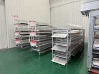 Nouvelle cage à poulets automatique de type H sur mesure, équipement d'élevage avicole automatisé OEM personnalisé en acier inoxydable galvanisé