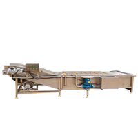 Volledig automatische fruitwasmachine met roterende borstel en hogedruksproeier voor appels, sinaasappels en wortelgroenten