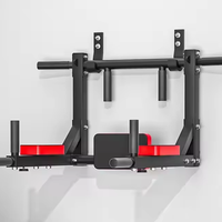 Offre Spéciale : Ensemble d'entraînement de fitness mural intérieur pour la maison – Barre de traction horizontale et barres parallèles – Direct Usine