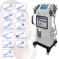 Appareil de soin du visage à jet d'oxygène, soin du visage hydratant en profondeur, 12 en 1, Hydra Shrink Pores, taches blanches, machine de beauté Hydra