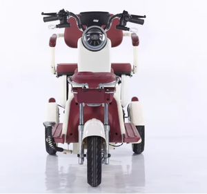 Triciclo de Acero para Adultos de 48V 600W con Motor sin Escobillas, 3 Velocidades, 60km de Autonomía, Batería de Plomo-Ácido, para Personas Mayores - Product Image 4