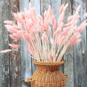 Vente en gros d'usine, fleurs séchées naturelles colorées, queue de lapin, herbe de queue de lapin, fleurs conservées, décoration de fleurs - Product Image 6