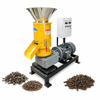 Machine à granulés de bois biomasse à angle acuté, moteur à engrenages de haute qualité, certifiée CE, personnalisable, à haut rendement, 380V/220V
