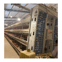 Prix de gros, système d'abreuvement automatique pour élevage de poulets, cage à oiseaux, cages à poules pondeuses à vendre, bon matériau