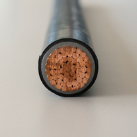 Câble en cuivre monobrin N2XY-J 1x400mm 1x630mm 1x240mm 1x185mm 1x120mm 1x150mm 1x300mm 0.6/1KV CU XLPE PVC Câble blindé