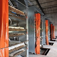 Équipement avicole entièrement automatique pour 40 000 oiseaux, cages d'alimentation pour l'élevage de poulets de chair, système de batterie de cages en H pour poules pondeuses