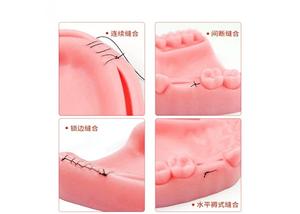 Almohadilla de sutura de herida de silicona gingival tres <span class=keywords><strong>modiles</strong></span> simula almohadilla de práctica de sutura de implante oral - Product Image 4