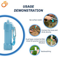 Paille filtrante à eau potable certifiée NSF, ultrafiltration, logo personnalisé, boîte couleur, testée en laboratoire pour kit d'urgence, directement de l'usine