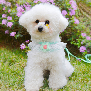 Arnés <span class=keywords><strong>de</strong></span> Pecho para Mascotas con Diseño <span class=keywords><strong>de</strong></span> Hada y Bonito Collar, Correa para Perros - Product Image 1