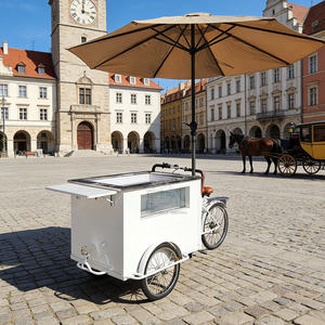 รถบรรทุกขายอาหารแบบลากจูง รถเข็นขายไอศกรีม รถพ่วงขายเครื่องดื่มเย็น จักรยานบรรทุกสินค้าไฟฟ้า พร้อมร่ม - Product Image 5