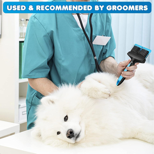 <span class=keywords><strong>Brosse</strong></span> à poils pour <span class=keywords><strong>chien</strong></span> en acier inoxydable double flex certifiée CE, <span class=keywords><strong>brosse</strong></span> de toilettage pour animaux de compagnie, peigne pour <span class=keywords><strong>sous</strong></span>-<span class=keywords><strong>poil</strong></span>, <span class=keywords><strong>brosse</strong></span> à poils pour animaux à poils longs - Product Image 6