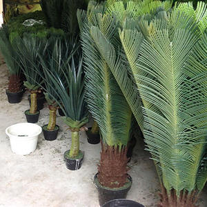 Tropical Artificielle Sagou <span class=keywords><strong>Cycas</strong></span> Palmier en plastique soie faux cycads plante <span class=keywords><strong>cycas</strong></span> <span class=keywords><strong>revoluta</strong></span> à vendre intérieur et extérieur décoratif - Product Image 5