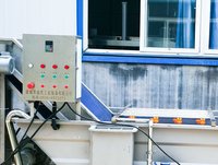 Roestvrijstalen groentewasser voor restaurants en groenteverwerkingsbedrijven Groentewasapparatuur