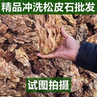 Pierre dragon naturelle pour l’aquascaping et la décoration d’aquarium