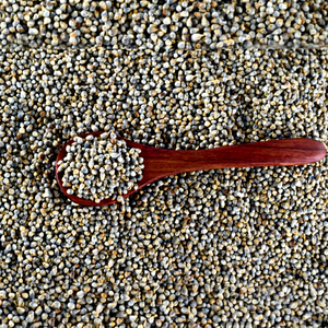 Bajra nettoyé de qualité supérieure - Product Image 1