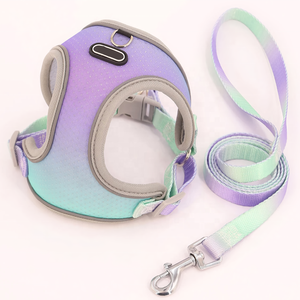 Néon couleur Xs petit animal de compagnie maille <span class=keywords><strong>harnais</strong></span> laisse ensemble minuscule sangle réfléchissante réversible <span class=keywords><strong>chien</strong></span> gilet vêtements chiot Teddy <span class=keywords><strong>chien</strong></span> <span class=keywords><strong>harnais</strong></span> - Product Image 2