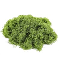 NINI Vente en gros de mousse de renne stabilisée, faite à la main, moderne, pour décoration intérieure/extérieure, bureau, jardin, bricolage, mousse de décoration de remise de diplôme