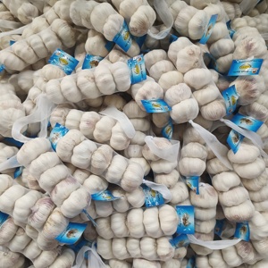 กระเทียมเดี่ยวสีขาวบริสุทธิ์สด6.0ซม. สำหรับอาหารราคาดีที่สุดในจีน - Product Image 4