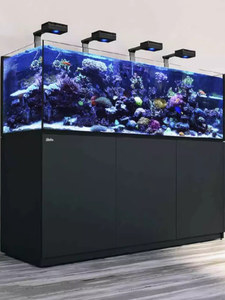 <span class=keywords><strong>Acuario</strong></span> Israel Red Sea Reefer Max G3 Silencioso, Rectangular, de Vidrio, para Sala de Estar, 200L, Ecológico, para Peces Tropicales - Product Image 3