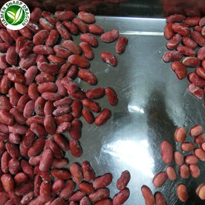 Frijoles Rojos Orgánicos Congelados en Venta, Precio por Tonelada para Exportación e Importación, Tipo de Cultivo de Frutas - Product Image 5