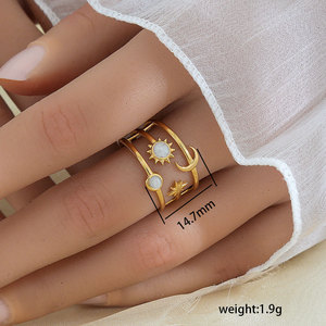 Anillo de Hoja de Acero Inoxidable de Moda Minimalista Popular Europeo Americano, Anillo de Mujer Moderno Chapado en Oro de 18k Personalizado - Product Image 6
