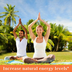 Vente chaude Super régime pilules de perte de graisse brûleur de graisse 100% Capsules amincissantes naturelles supplément de contrôle de poids organique dans une boîte en fer - Product Image 6