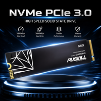 PUSKILL OEM NVMe M.2 2280 PCIe 3.0 X4 SSD 3D TLC NAND Disque SSD interne 128GB 256GB 512GB 1TB 2TB pour PC de jeu