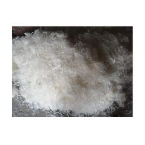 Plumes d'oie blanches naturelles de qualité supérieure pour décorations de mariage, conception de costumes, centres de table et artisanat fait main - Product Image 5