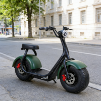 Prix direct usine – Scooter électrique durable 1000W 48V pour adulte, moto électrique Citycoco, cyclomoteur électrique 40-60km/h, autonomie 35-55km, frein à disque