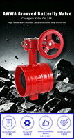 Vanne papillon rainurée en fonte ductile GGG40 PN16 DN50-DN300 pour système de lutte contre l'incendie - Offre Spéciale