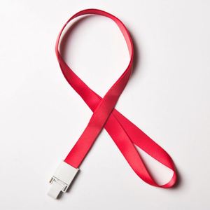 Hot Selling Wholesale Personalized <b>Lanyard</b> Factory <b>Polyester</b> Neck <b>Lanyard</b> Silk Screen Printing Cheap Custom Design <b>Lanyards</b> - Product Image 3