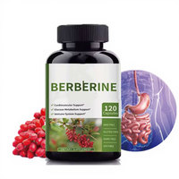 Comprimés de berbérine HCl pure naturelle 1000mg, racine de cannelle de Ceylan - Complément alimentaire pour adultes pour le soutien immunitaire et la perte de poids, naturel