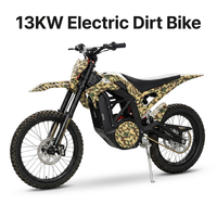 Moto tout-terrain électrique 13KW 72V 40AH 100km/h avec une autonomie de 120km, freins à disque hydrauliques, conçue pour adultes