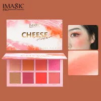 Beliebte Make-up in Indien Low Moq Großhandel China besten Rouge Puder Rouge Palette auf Lager