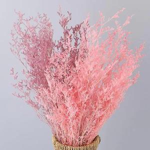 Venta al por mayor blanqueada San Valentín amante hierba para decoración del hogar Ramos para Pascua y Halloween ocasiones limonio conservado - Product Image 4