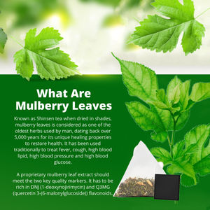 OEM के प्राकृतिक ग्राहक लोगो सफेद शहतूत की पत्ती चाय शहतूत पत्तियां चाय के साथ निजी लेबल - Product Image 4