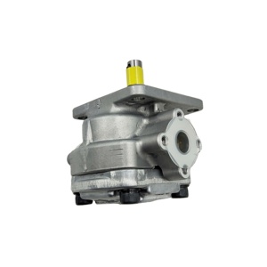 ปั๊มเกียร์สูงแรงดันสูงรุ่นใหม่ ZY GPY 20.6Mpa ผลิตจากเหล็กหล่อ รับประกัน 1 ปี GPY-3R870 GPY-4R872 GPY-5.8R729 GPY-5.8R873 GPY-7R877 GPY-7R887 - Product Image 1
