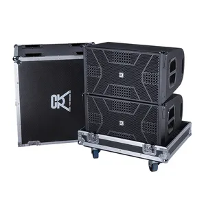 Segnale woofer al neodimio da 12 pollici sistema line array bidirezionale clear sound fashion Exterior innova cabinet design scatola di vendita calda